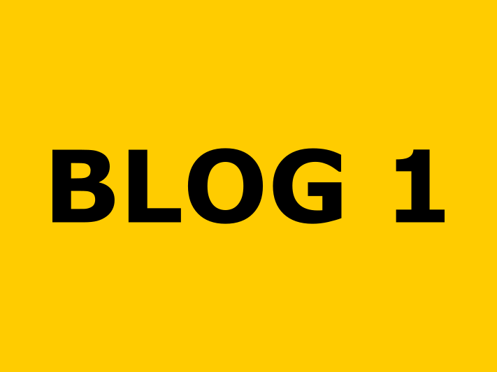 BLOG 1