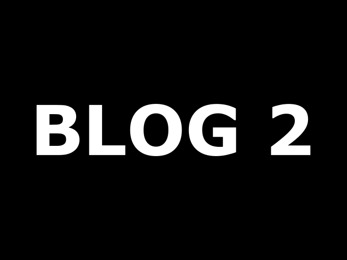 BLOG 2