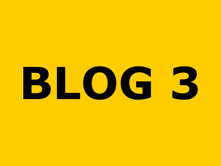 BLOG 3